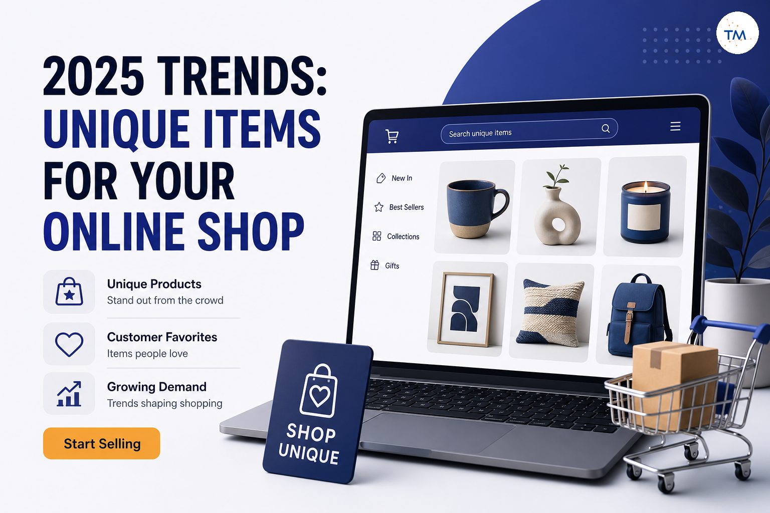 2025 Trends: Which Unique Items are Best for Your Online Shop?