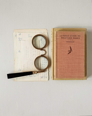 Creative Co-Op Spectacle Magnifying Glass