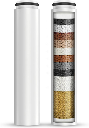 Cobbe 2 Pack Replacement Filters for Handheld Show...