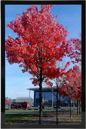 Buyer Page Image Placeholder