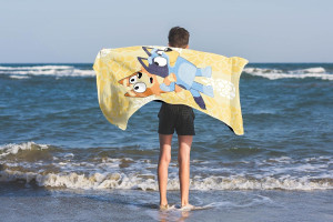 Jay Franco Bluey & Bingo Kids Bath Pool Beach Towe...