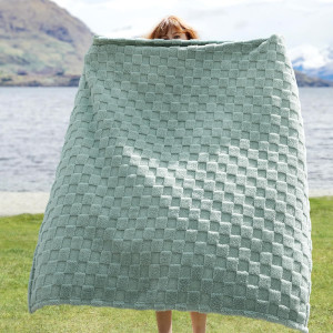 Bedsure Sage Green Fleece Blanket for Couch - Chec...