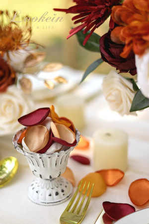 Lookein 300pcs Terracotta Rose Petals Satin Flower...