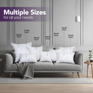 Utopia Bedding Throw Pillows Insert (Pack of 2, Wh...