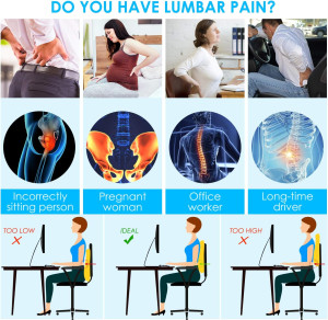 Lumbar Support Pillow for Office Chair Car Back Su...