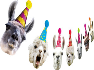Llama Birthday Garland, Funny Alpaca Face Portrait...