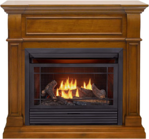 Duluth Forge Dual Fuel Ventless Gas Fireplace Syst...