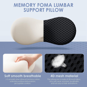 Lumbar Support Pillow Ergonomic Memory Foam Lumbar...