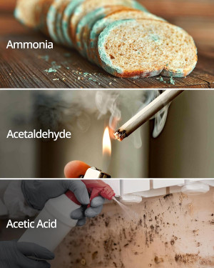 COWAY AP-1512HH & 200M Air Purifier Filter Replace...