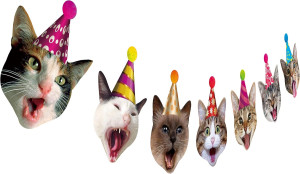 Birthday Cat Garland, Photographic Cat Faces Birth...