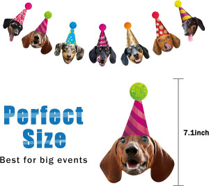 Dachshund Birthday Garland, Funny Wiener Dog Bday...