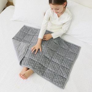 Mr. Sandman Weighted Lap Blanket 2LBS 20 x 30 Inch...