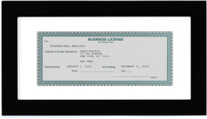 Americanflat 5x10 Business License Frame in Black...