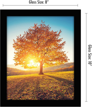Americanflat 8x10 Picture Frame with Shatter-Resis...