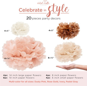 Vidal Crafts 20 Pcs Party Tissue Paper Pom Poms Se...