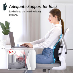 ZIKEE Lumbar Support Pillow for Office Chair, Pate...