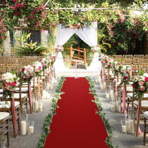 Red Carpet Runner for Party, 2x15ft, 70GSM, Hollyw...