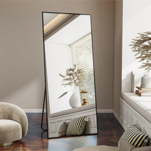 Mirror Full Length, 21" x 57" Floor Mirror with St...