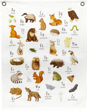 Woodland Nursery Decor for Boys or Girls - Woodlan...