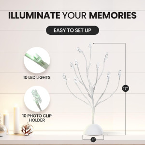 Money Tree Gift Card Holder with 10 Clips & LED Li...