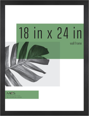 MCS Studio Gallery 18x24 Poster Frame Black Woodgr...