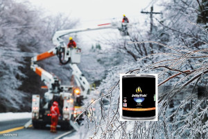 Real JellyFish Flame Premium Gel Fuel 48 Cans Indo...