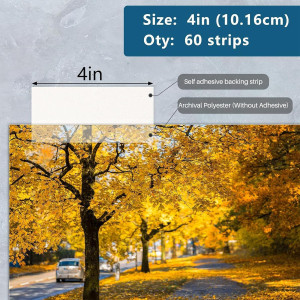 Lineco 4 Inches See-Through Archival Polyester Mou...