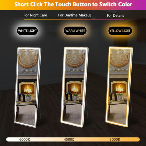 Sweetcrispy 64"x21" Mirror Full Length Standing Mi...