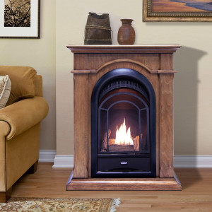ProCom Dual Fuel Ventless Gas Fireplace System wit...