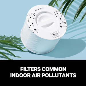 2-Pack of Genuine PuroAir 240 Replacement Filters...