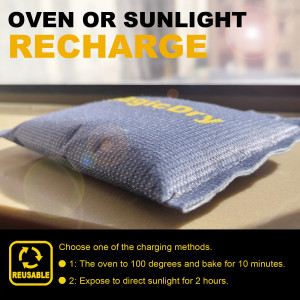 100g Rechargeable Desiccants Pack of 4 with Hook -...