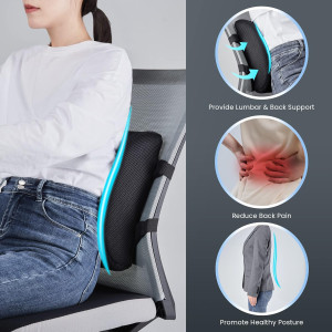 Lumbar Support Pillow for Office Chair - Improve B...