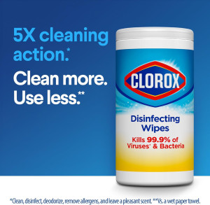 Clorox Disinfecting Wipes Value Pack, Household Es...