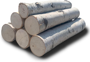Wilson Decorative White Birch Logs, Natural Bark W...