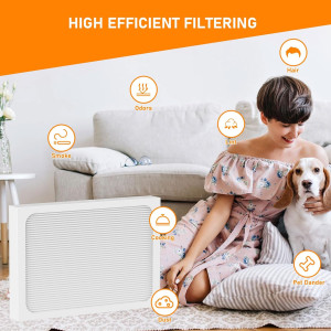 9 x 11 x 1 MERV 13 Dehumidifier Filter Replacement...