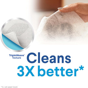 Clorox Disinfecting Wipes Value Pack, Household Es...
