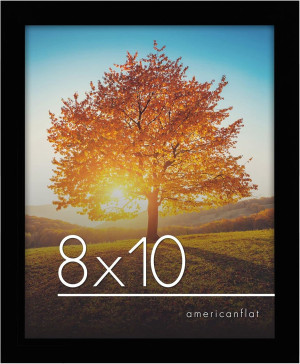 Americanflat 8x10 Picture Frame with Shatter-Resis...