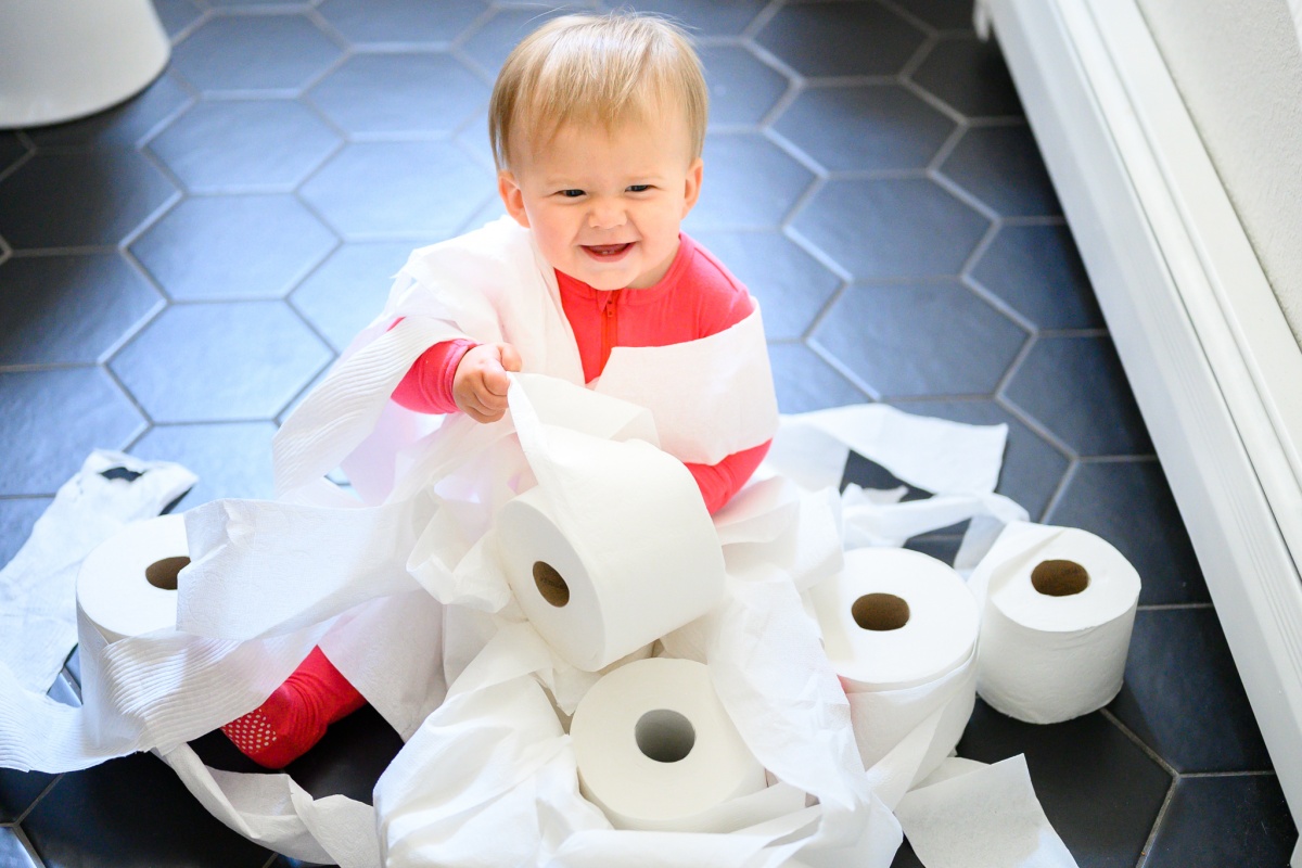 The Best Toilet Papers Reviewed by Testmarket Experts
